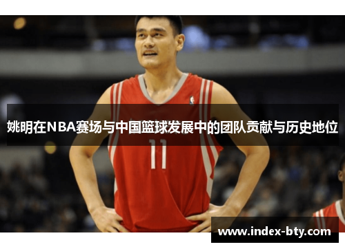 姚明在NBA赛场与中国篮球发展中的团队贡献与历史地位