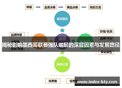 揭秘影响墨西哥联赛强队崛起的深层因素与发展路径