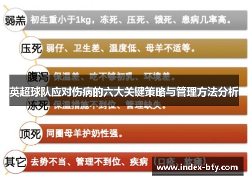 英超球队应对伤病的六大关键策略与管理方法分析