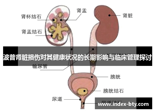 波普肾脏损伤对其健康状况的长期影响与临床管理探讨