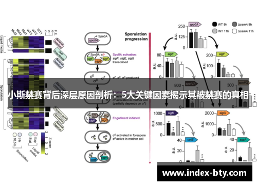 小斯禁赛背后深层原因剖析：5大关键因素揭示其被禁赛的真相