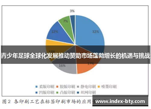 青少年足球全球化发展推动赞助市场蓬勃增长的机遇与挑战