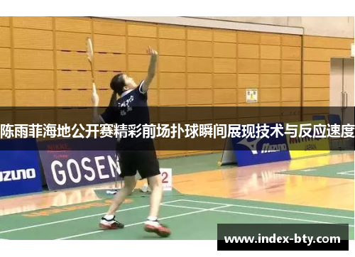 陈雨菲海地公开赛精彩前场扑球瞬间展现技术与反应速度