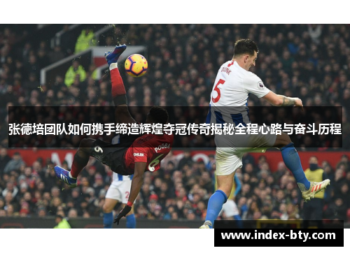 张德培团队如何携手缔造辉煌夺冠传奇揭秘全程心路与奋斗历程